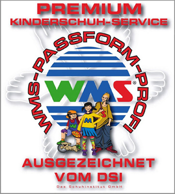DSI - Deutsches Schuhinstitut GmbH